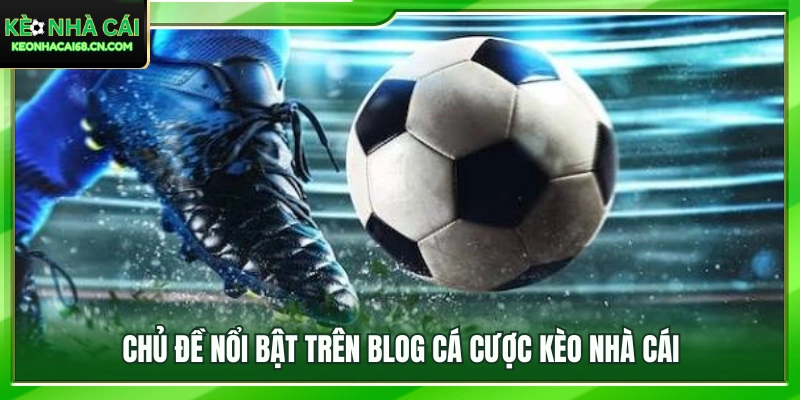 Chuyên mục hấp dẫn thu hút đông đảo người đọc mỗi ngày 