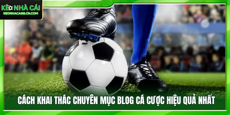 Hướng dẫn tận dụng nguồn thông tin trên blog 