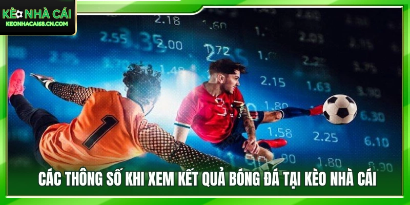 Khám phá các chỉ số thống kê chi tiết 