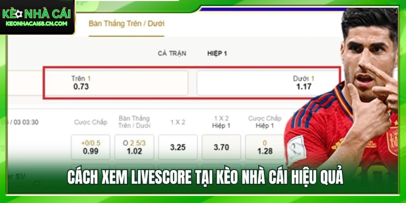 Livescore - Cập Nhật Diễn Biến Và Tỷ Số Bóng Đá Liên Tục 3 Hướng dẫn theo dõi Livescore nhanh chóng và chính xác
